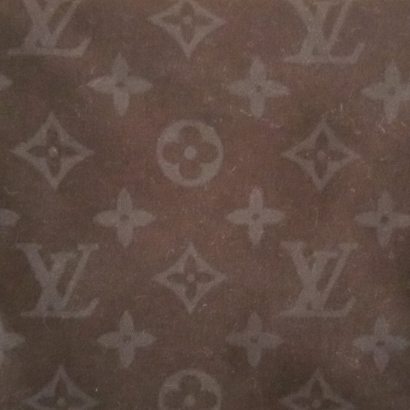 Authentic Louis Vuitton Unisex Pouch/Cosmetic Bag - Picture 3 of 6